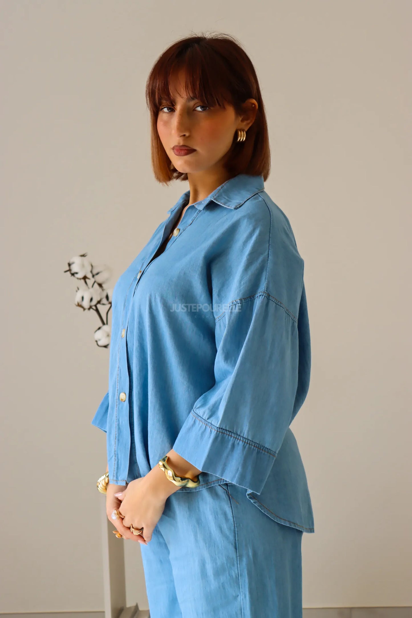 ENSEMBLE ASSIA BLEU