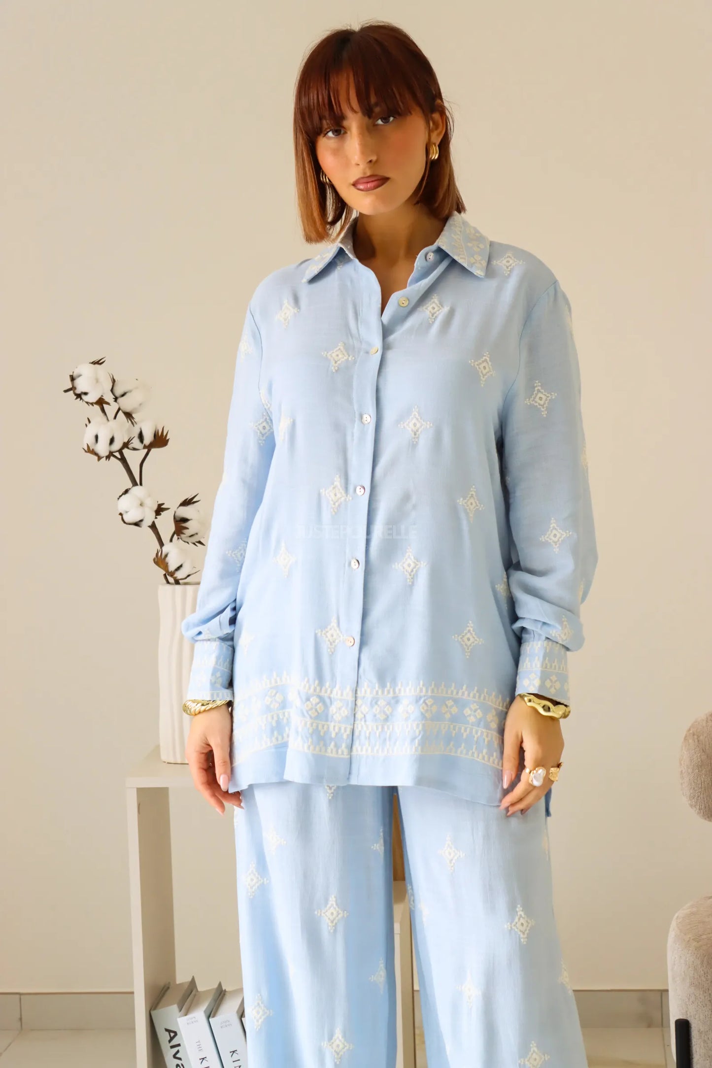 ENSEMBLE NESSY BLEU