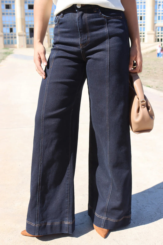 JEANS LILA BLEU