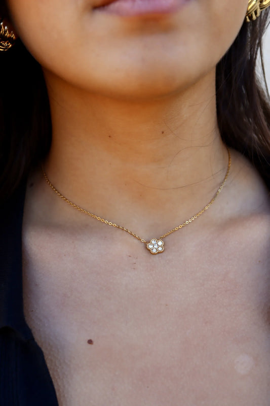 COLLAR HIREIA